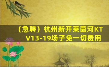 娄底酒吧招聘